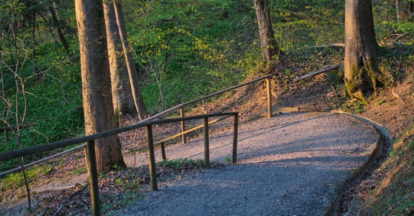 10 เว็บหวยจ่ายเต็ม เมษายน 2569 บาทละ 900 ไม่อั้น